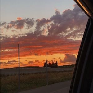 Meet your Posher, Isabella viel